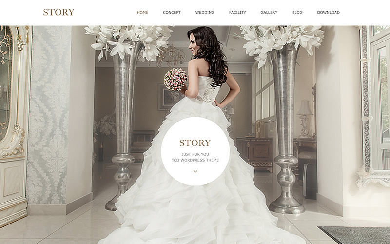 WordPress Theme STORY